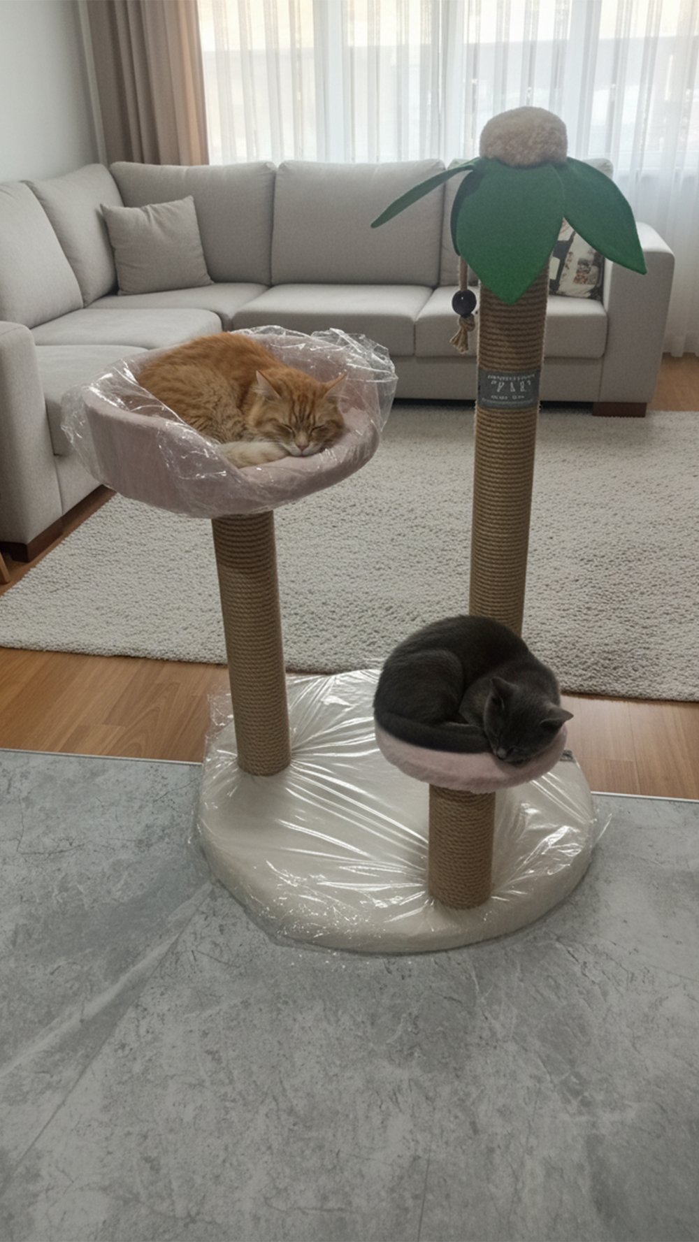 Zaf Palmiye Tırmalama Tahtası