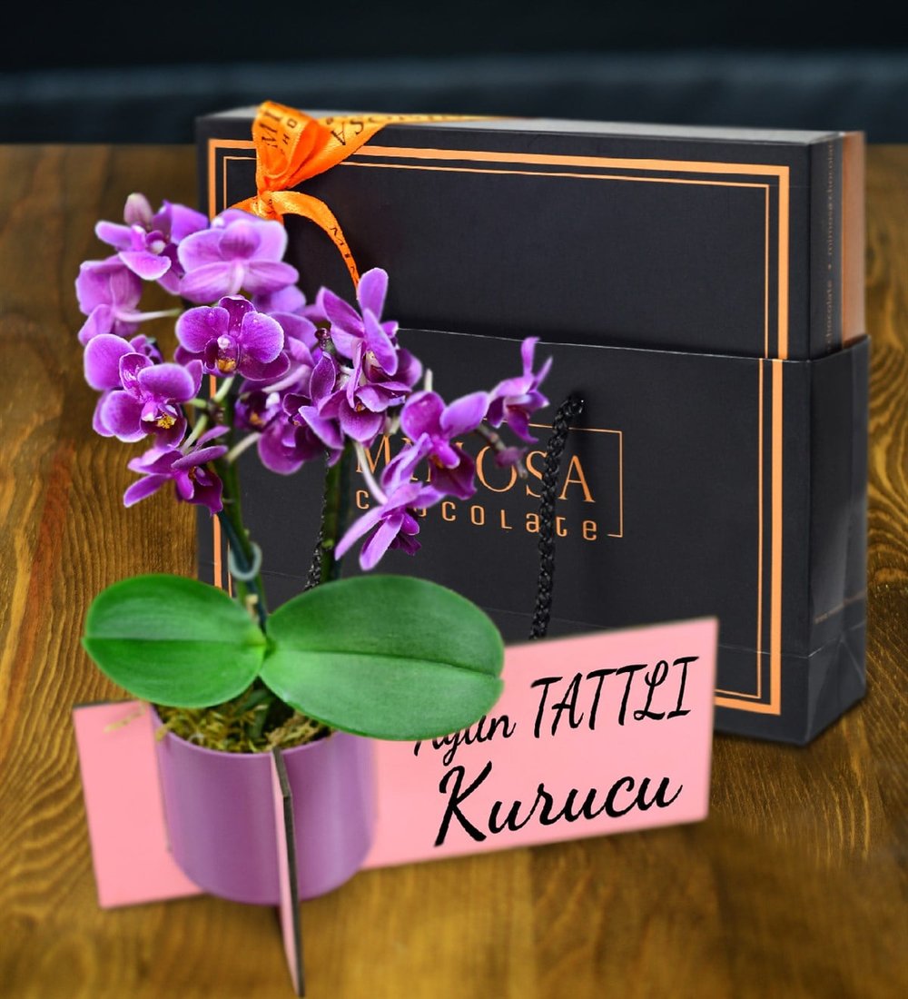 Kişiye Özel Ahşap İsimlik Çift Dal Mor Orkide & Mimosa Chocolate Fiyatı