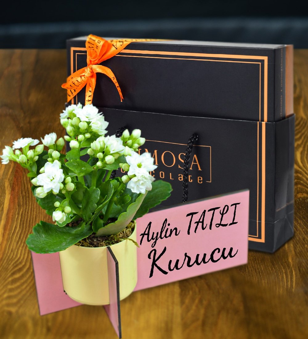 Kişiye Özel Ahşap İsimlik Kalanchoe Çiçeği & Mimosa Chocolate Fiyatı