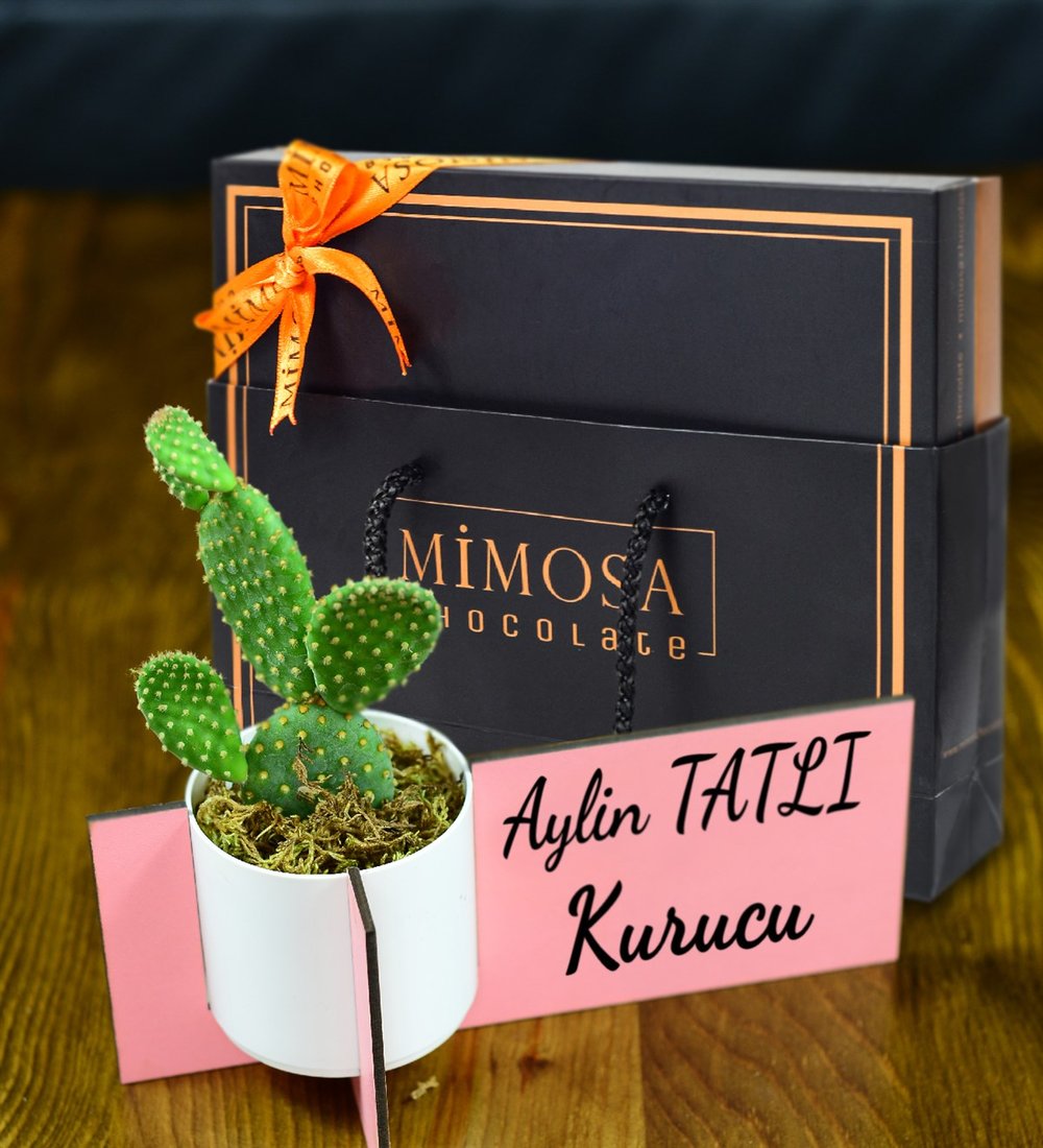 Kişiye Özel Ahşap İsimlik Micky Kaktüs & Mimosa Chocolate Fiyatı