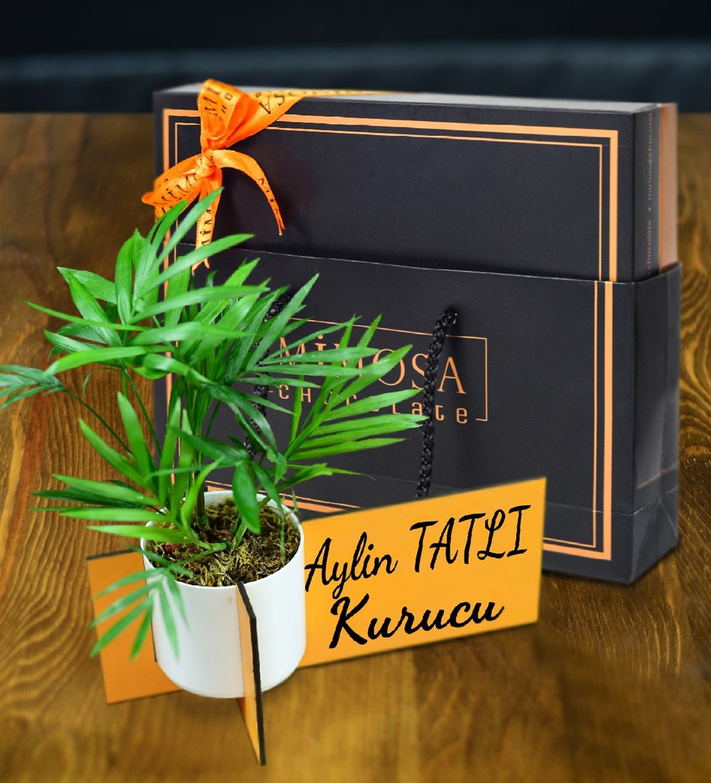 Kişiye Özel Ahşap İsimlik Mini Palmiye Chamadorea & Mimosa Chocolate Fiyatı