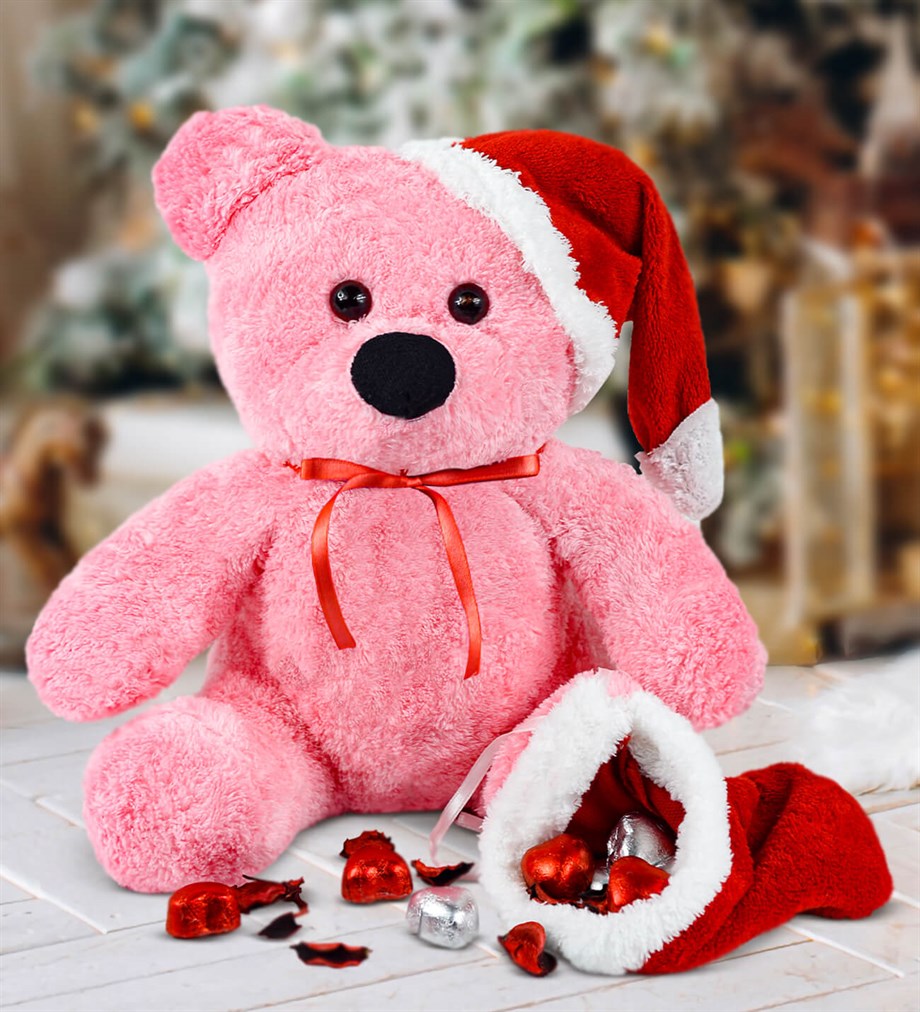 Yılbaşı Özel 55 cm Noel Baba Ayıcığı Fiyatı