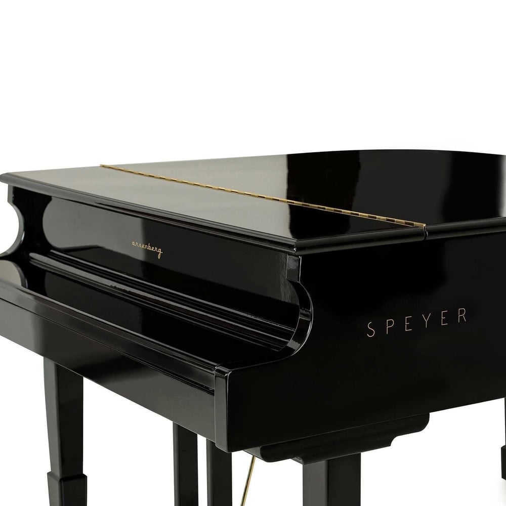 Arsenberg AGP150B Speyer Siyah Dijital Kuyruklu Piyano