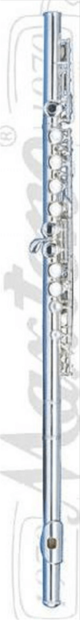 MAXTONE TF48ES FLÜT E SİLVER WCASE
