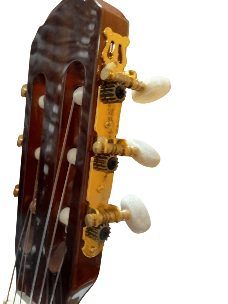 Presto Luthier CG800s Klasik Gitar