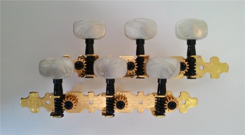 Valencia VCMH0150GD Klasik Gitar Akort Burgusu (Gold)
