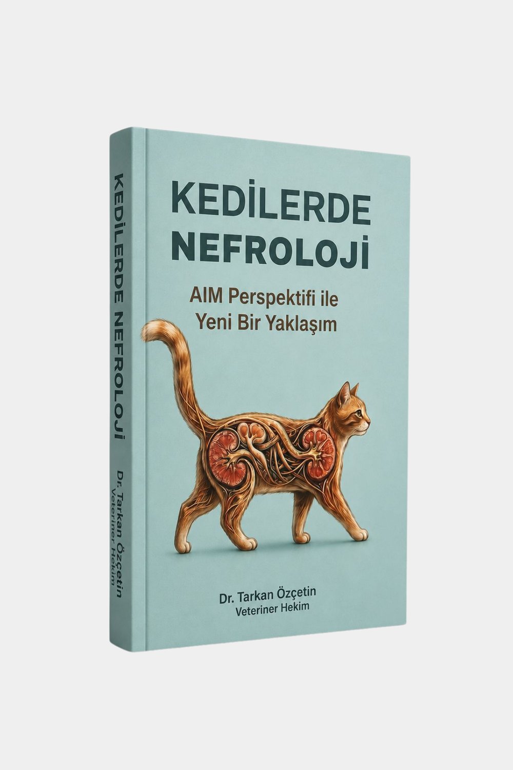 Kedilerde Nefroloji AIM Perspektifi ile Yeni Bir Yaklaşım