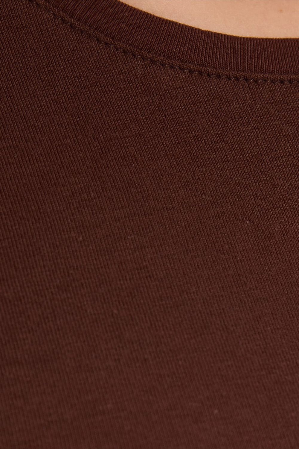 Kadın Slim Fit Dar Kesim Pamuklu Likralı Bisiklet Yaka Ay Kol Kahverengi Tişört