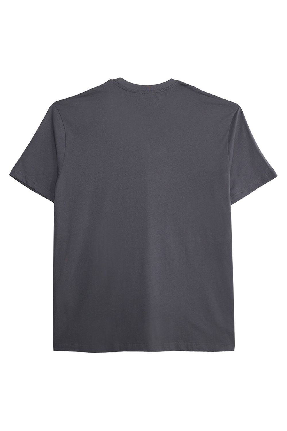 BIG SIZE  SHORT SLV PLAIN CREW NECK T-SHIRT