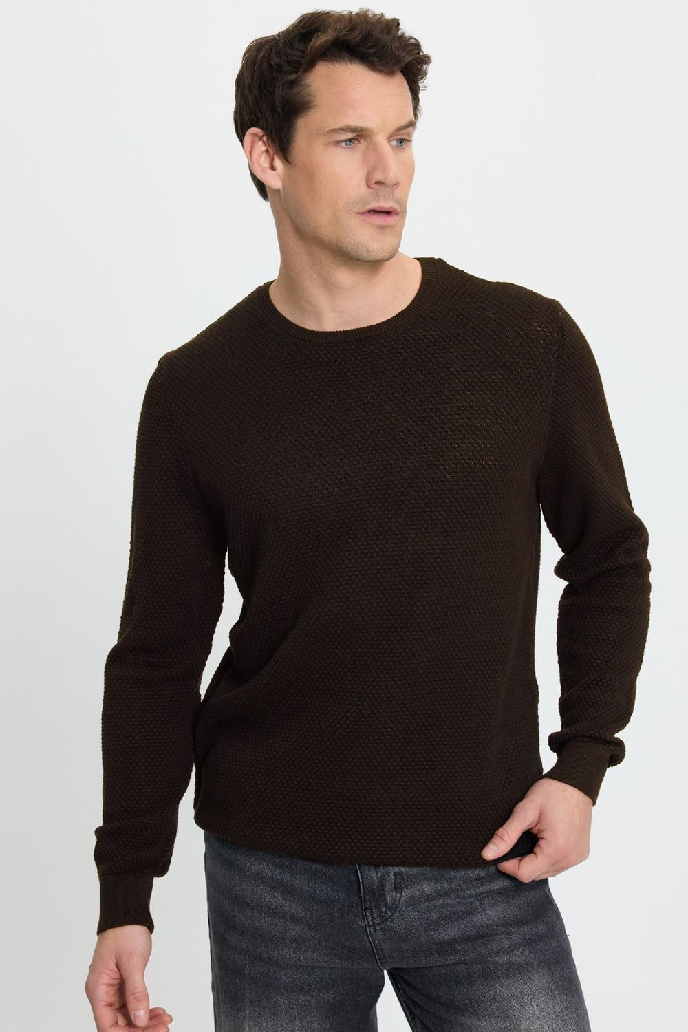 Slim Fit Bisiklet Yaka Petek Desenli Erkek Kazak