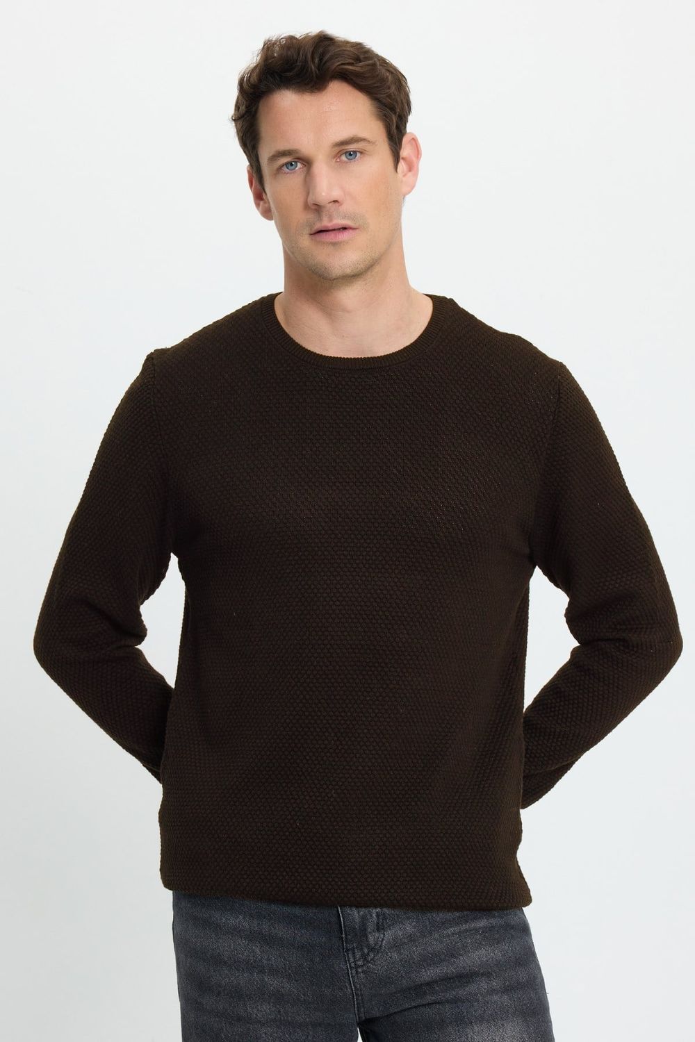Slim Fit Bisiklet Yaka Petek Desenli Erkek Kazak