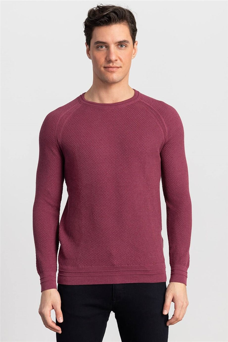 Slim Fit Dar Kesim Bisiklet Yaka Kendinden Desenli Erkek Kazak