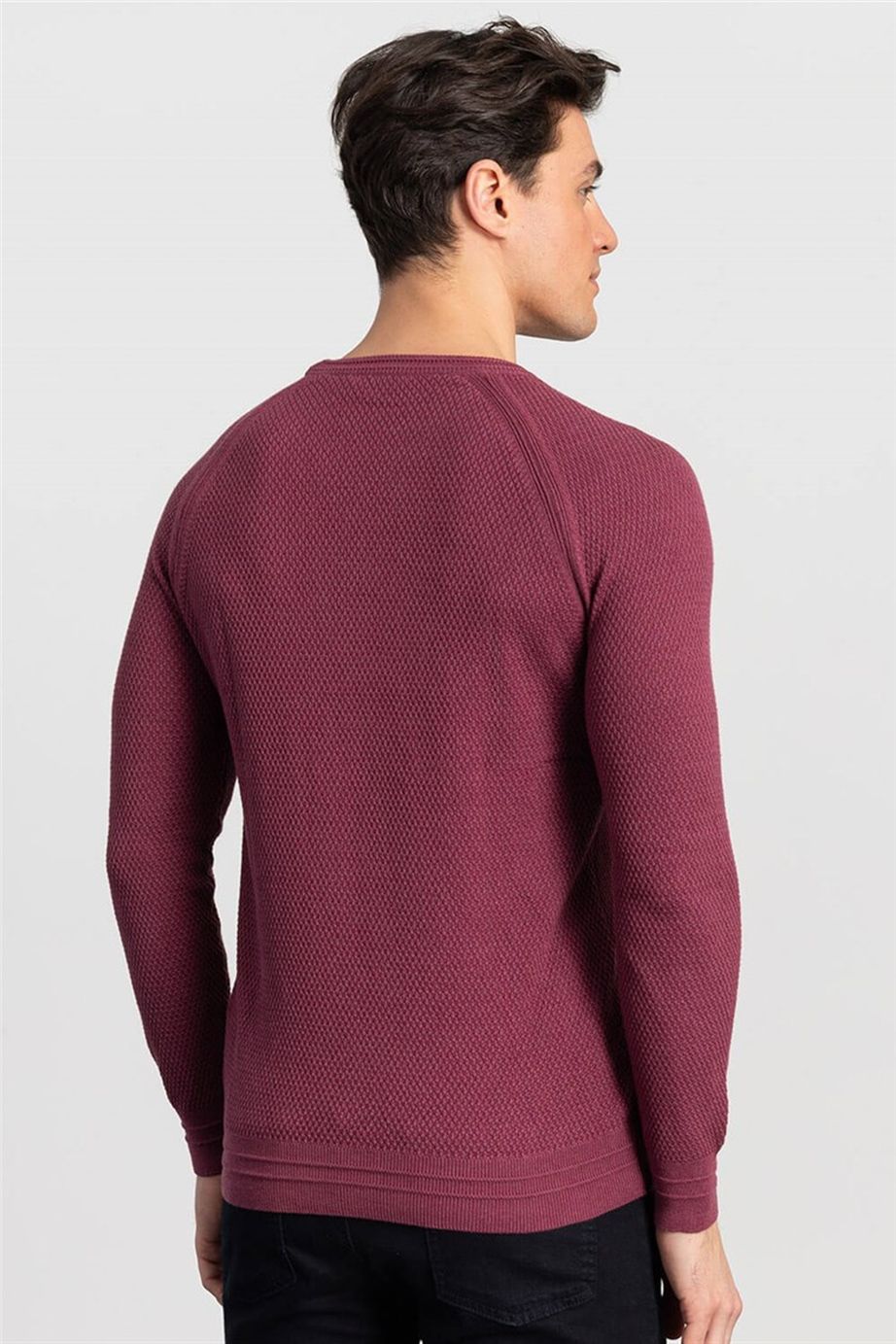 Slim Fit Dar Kesim Bisiklet Yaka Kendinden Desenli Erkek Kazak