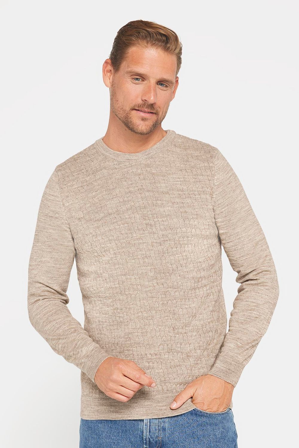 Slim Fit Bisiklet Yaka Kendinden Desenli Bej Erkek Triko Kazak