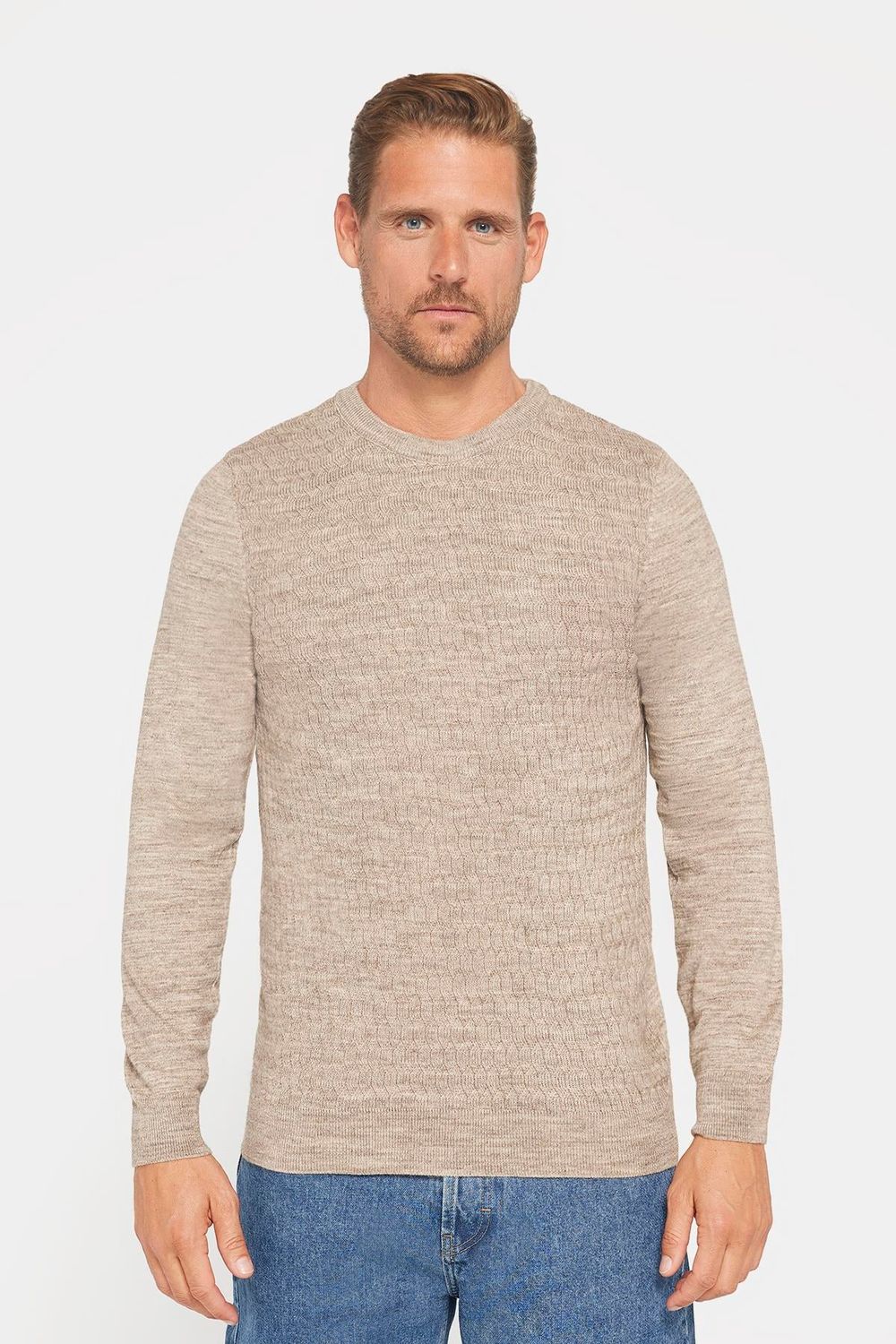 Slim Fit Bisiklet Yaka Kendinden Desenli Bej Erkek Triko Kazak