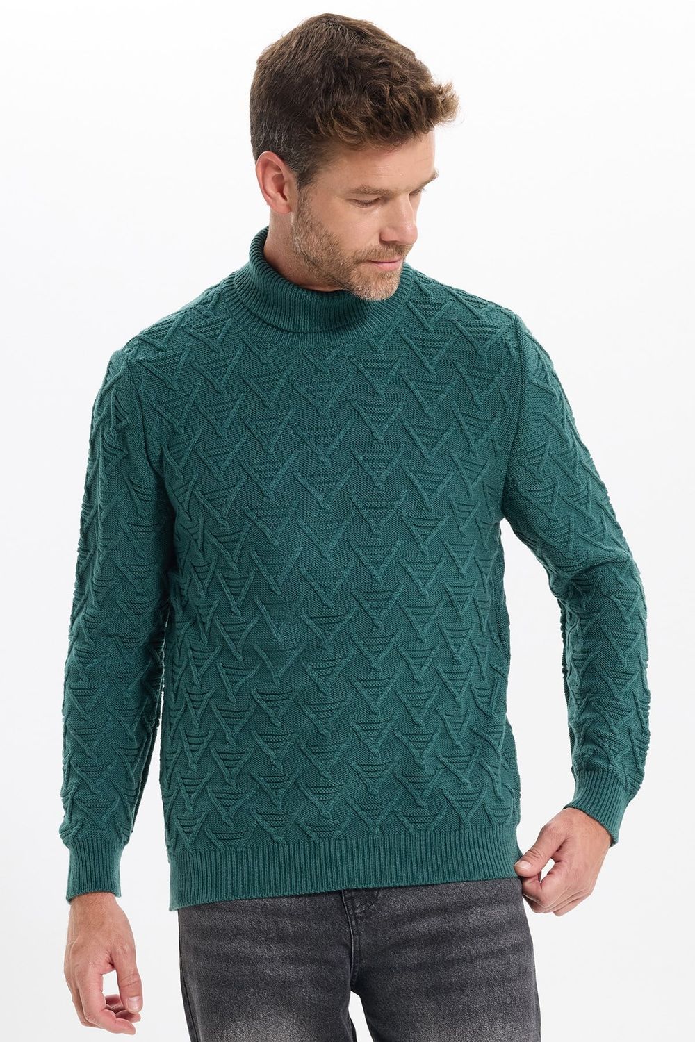 Slim Fit Dar Kesim Tam Balıkçı Yaka Desenli Erkek Triko Kazak