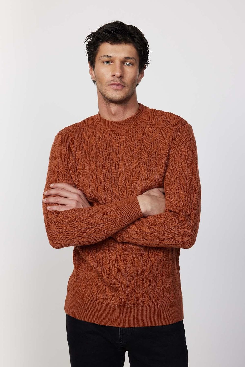 Slim Fit Bisiklet Yaka Desenli Tarçın Erkek Triko Kazak