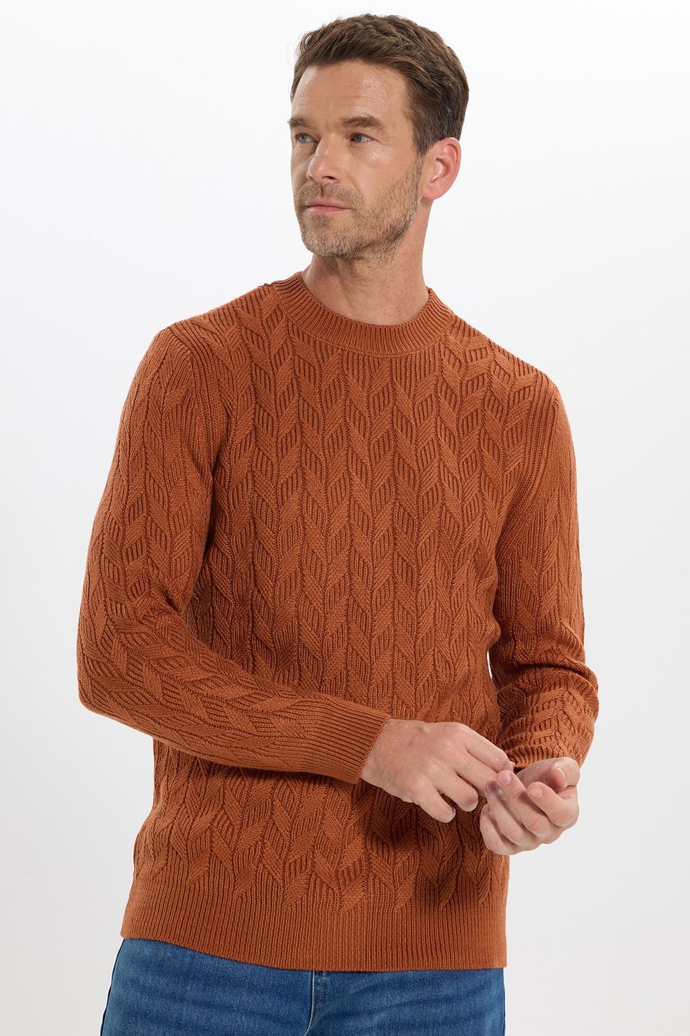 Slim Fit Bisiklet Yaka Desenli Tarçın Erkek Triko Kazak