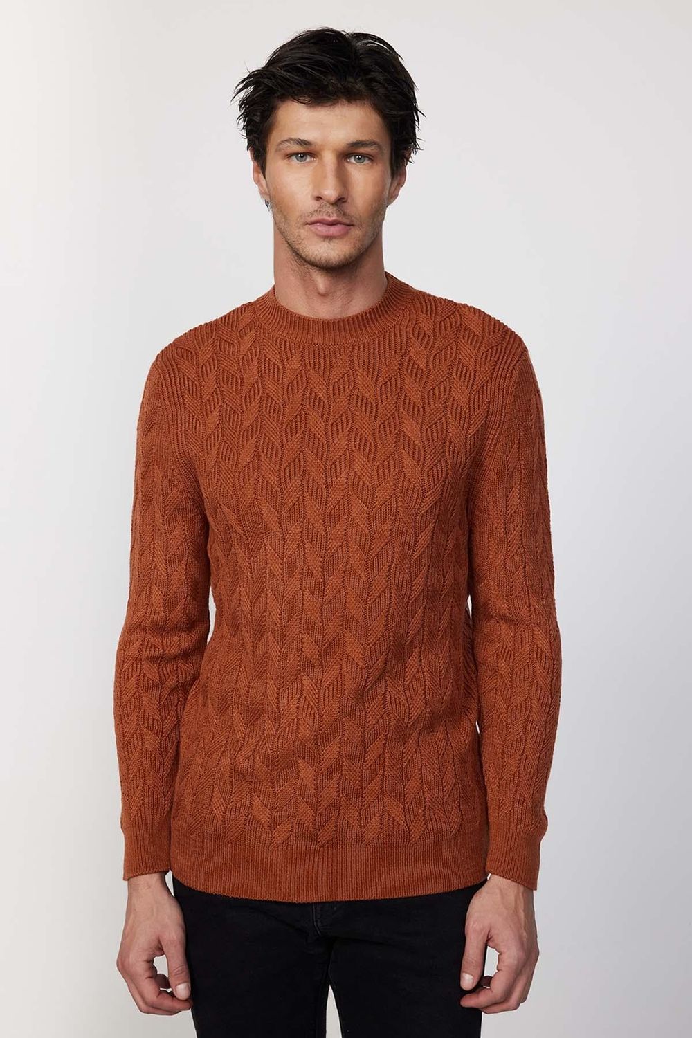 Slim Fit Bisiklet Yaka Desenli Tarçın Erkek Triko Kazak
