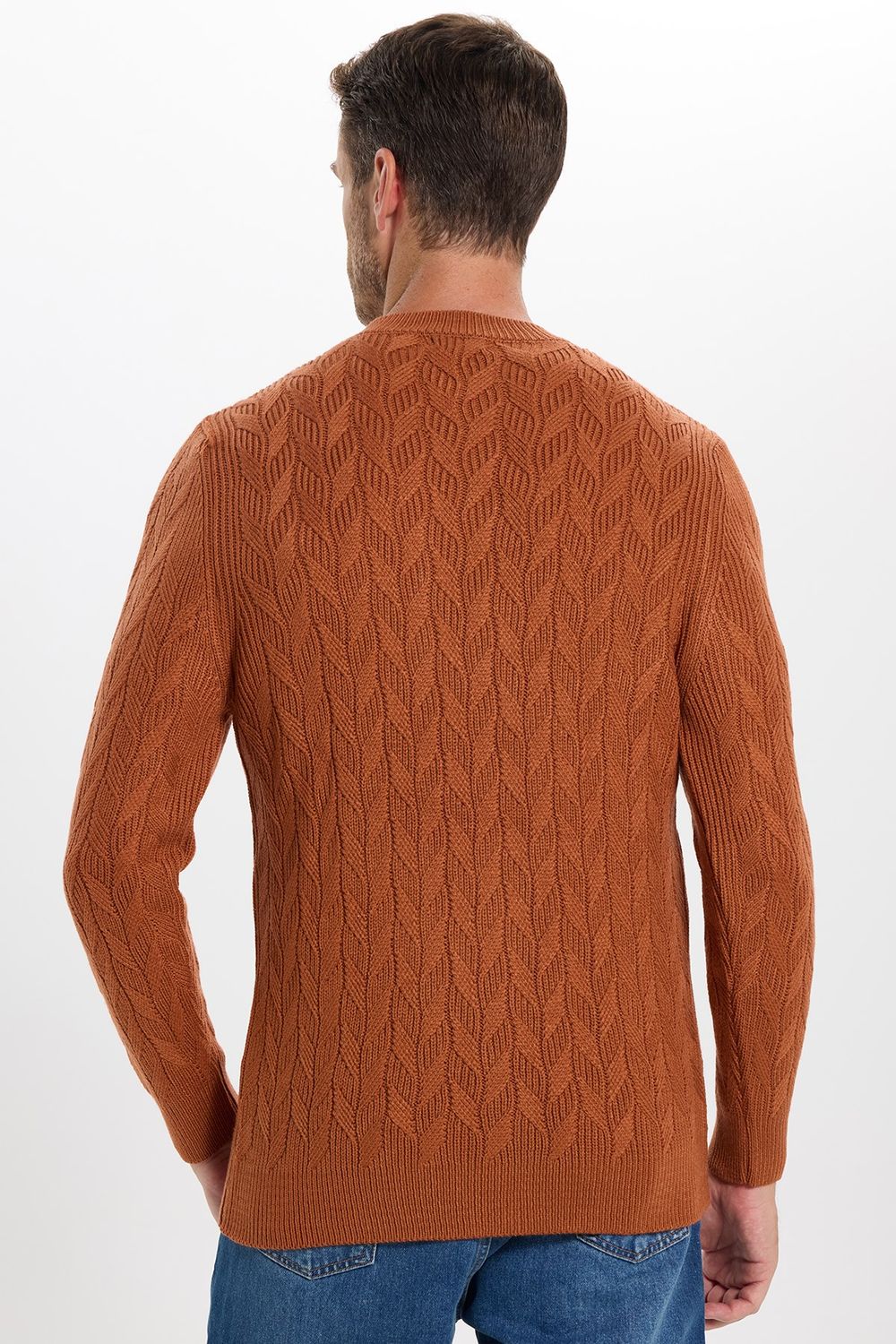 Slim Fit Bisiklet Yaka Desenli Tarçın Erkek Triko Kazak