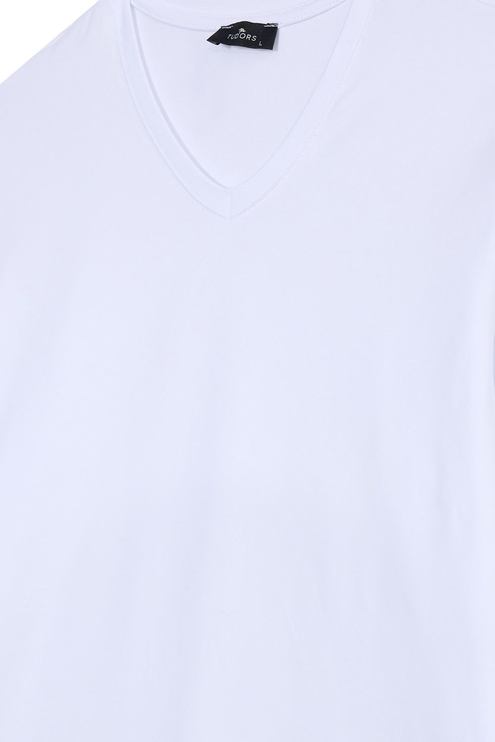 SLIM FIT LONG SLV V NECK PLAIN LYC  T-SHIRT