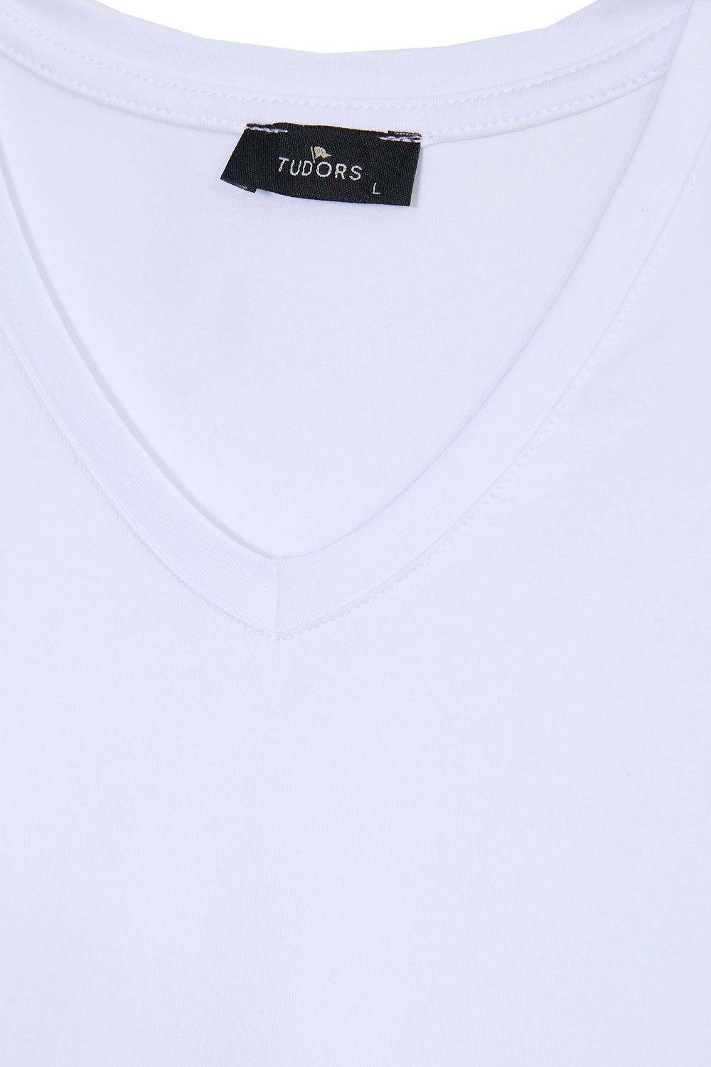 SLIM FIT LONG SLV V NECK PLAIN LYC  T-SHIRT