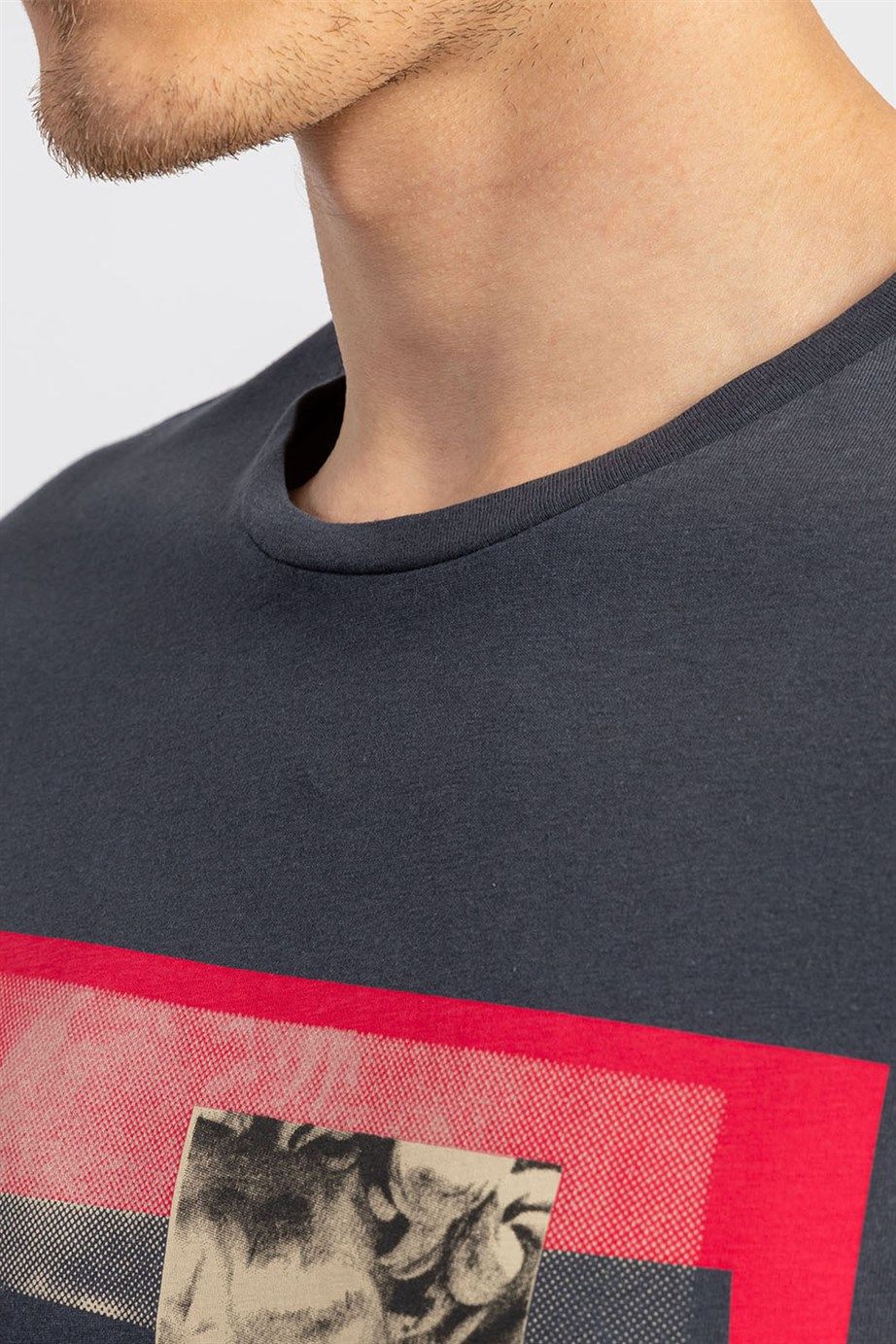Slim Fit  Baskılı Basic Bisiklet Yaka Erkek t-shirt