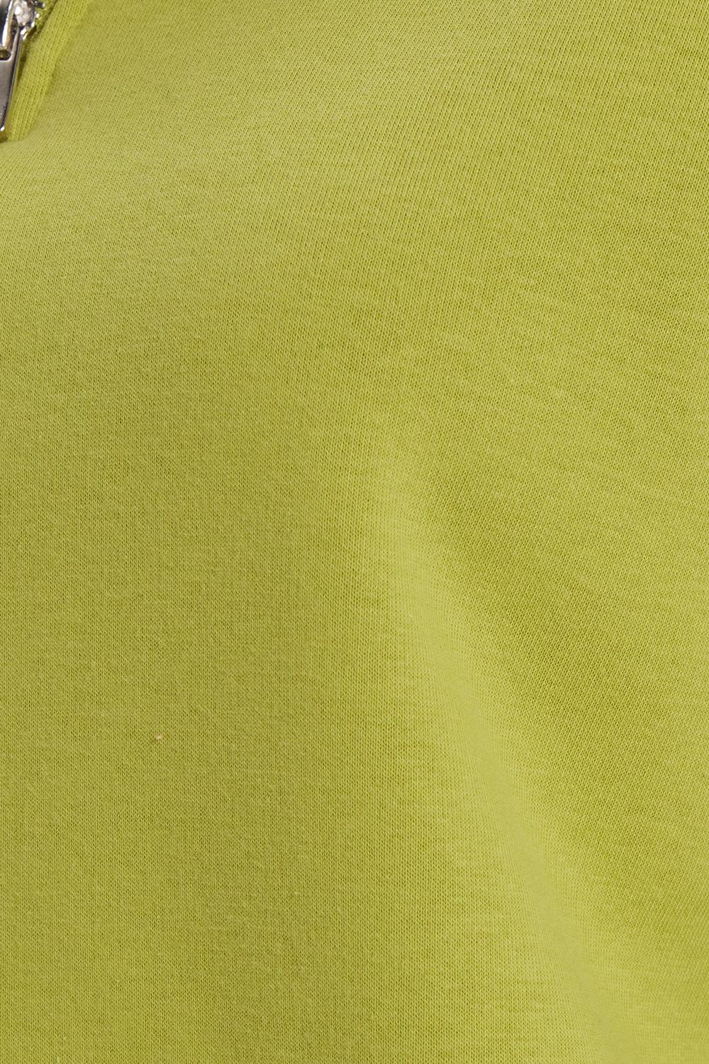Kadın Relax Fit Rahat Kesim Pamuklu İçi Polarlı Yarım Fermuarlı Yeşil Dik Yaka Sweatshirt