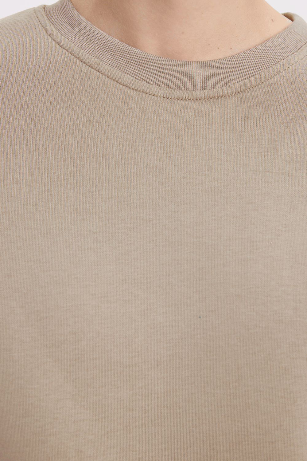Kadın Oversize Geniş Kesim Pamuklu 3 İplik İçi Polarlı Basic Taş Bisiklet Yaka Sweatshirt