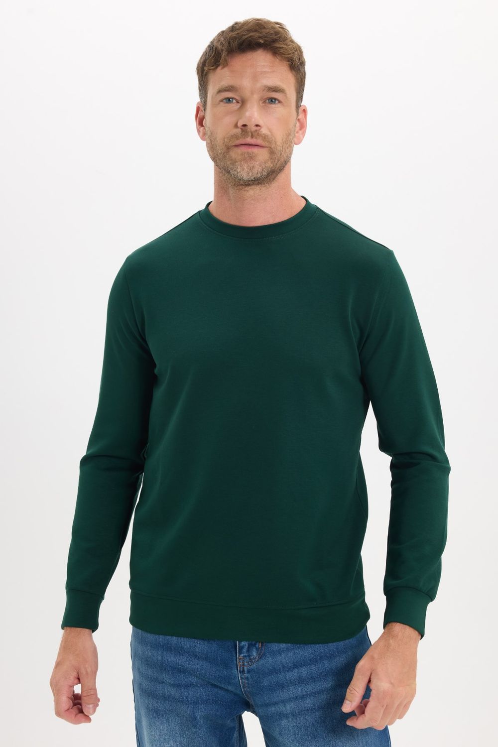 Erkek Standart Fit Normal Kesim Uzun Kollu Ekstra Soft Modal Kumaş Bisiklet Yaka Yeşil Sweatshirt