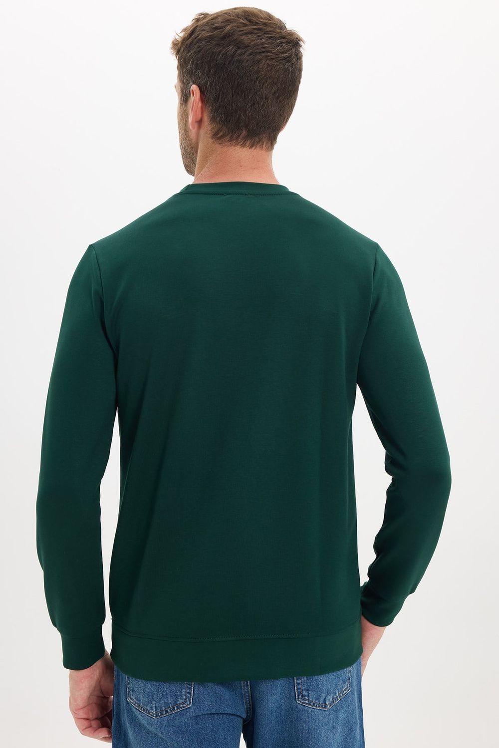 Erkek Standart Fit Normal Kesim Uzun Kollu Ekstra Soft Modal Kumaş Bisiklet Yaka Yeşil Sweatshirt