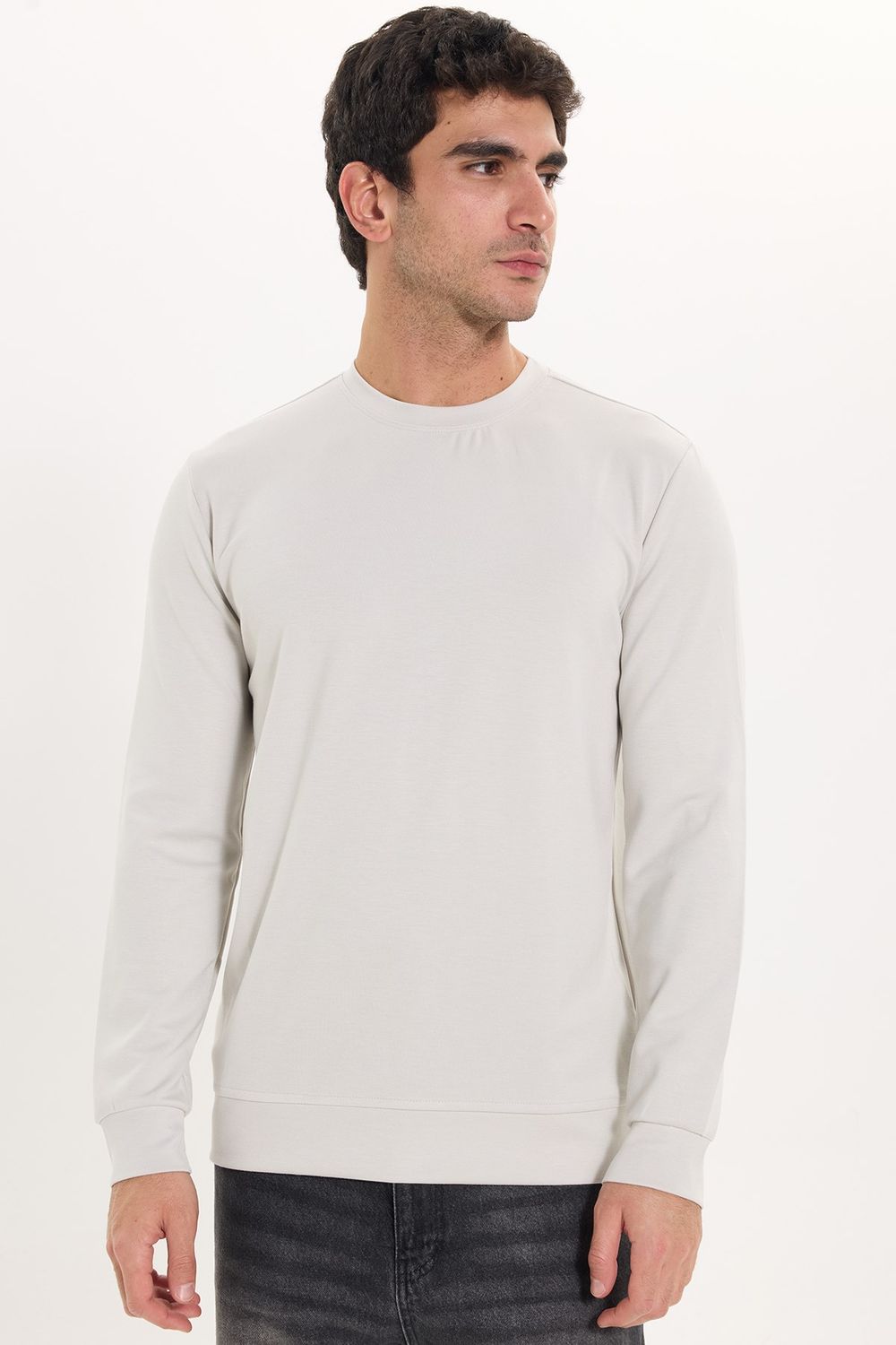 Erkek Standart Fit Normal Kesim Uzun Kollu Ekstra Soft Modal Kumaş Bisiklet Yaka Taş Sweatshirt