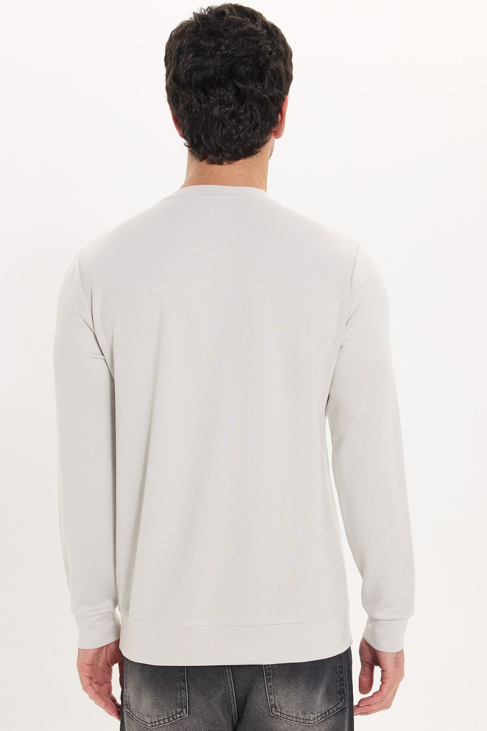 Erkek Standart Fit Normal Kesim Uzun Kollu Ekstra Soft Modal Kumaş Bisiklet Yaka Taş Sweatshirt