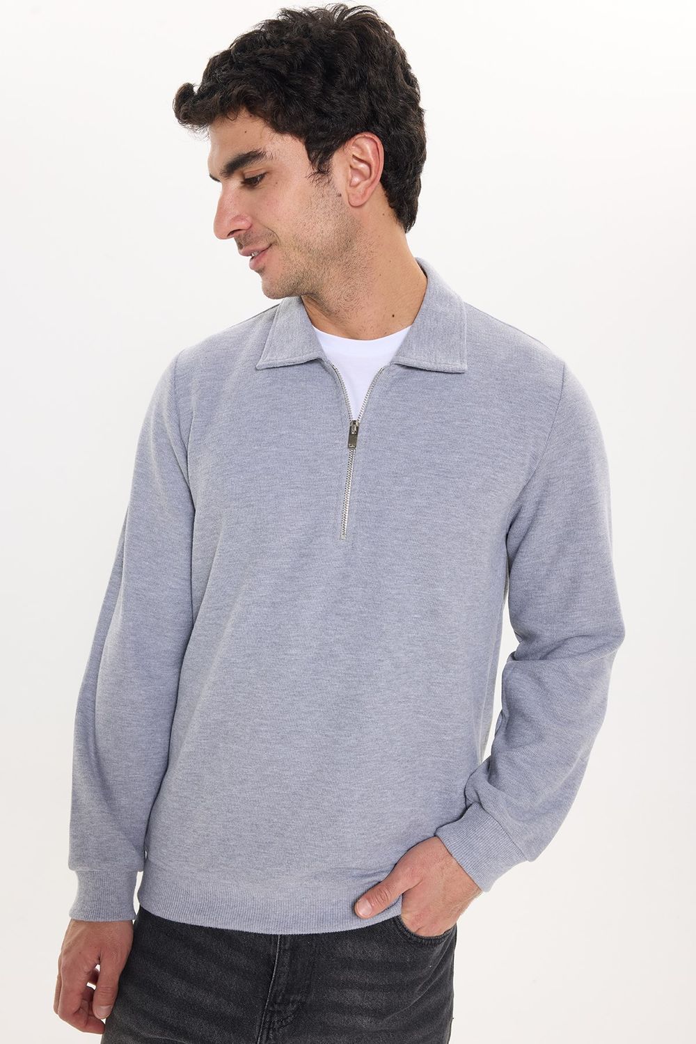 REGULAR FIT  POLO NECK HALF ZIPPER  MEDINA SWEATSHIRT