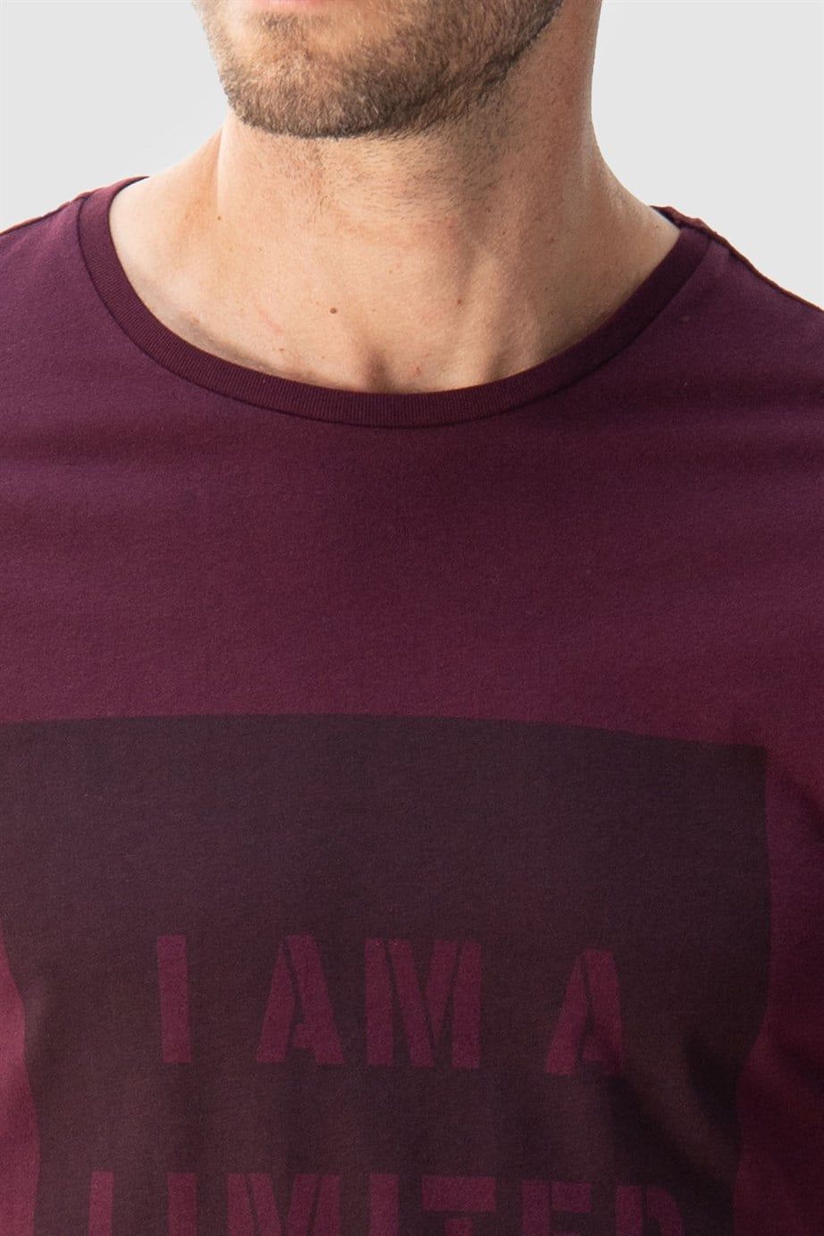 Slim Fit Dar Kesim Bisiklet Yaka Baskılı Erkek T-Shirt