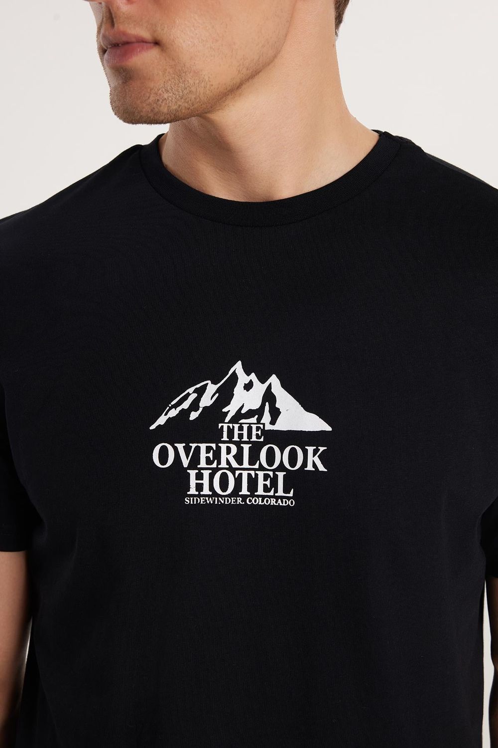 CREW NECK PRINT SHORT SLV T-SHIRT 24/25  TİŞÖRT