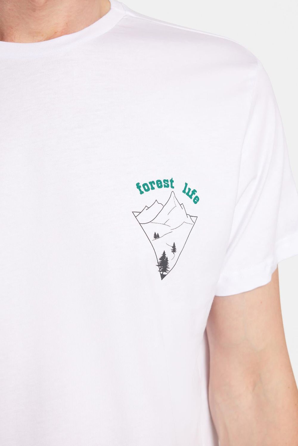 CREW NECK PRINT SHORT SLV T-SHIRT 24/25  TİŞÖRT