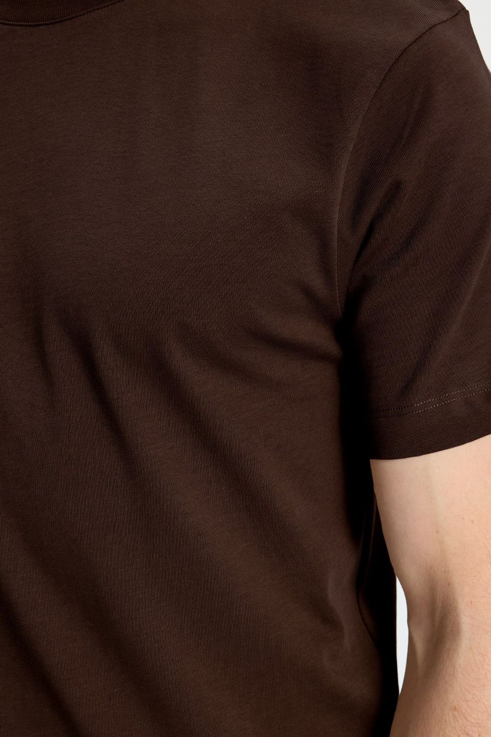 Erkek Regular Fit Klasik Kesim %100 Pamuk Bisiklet Yaka Kahverengi Tişört