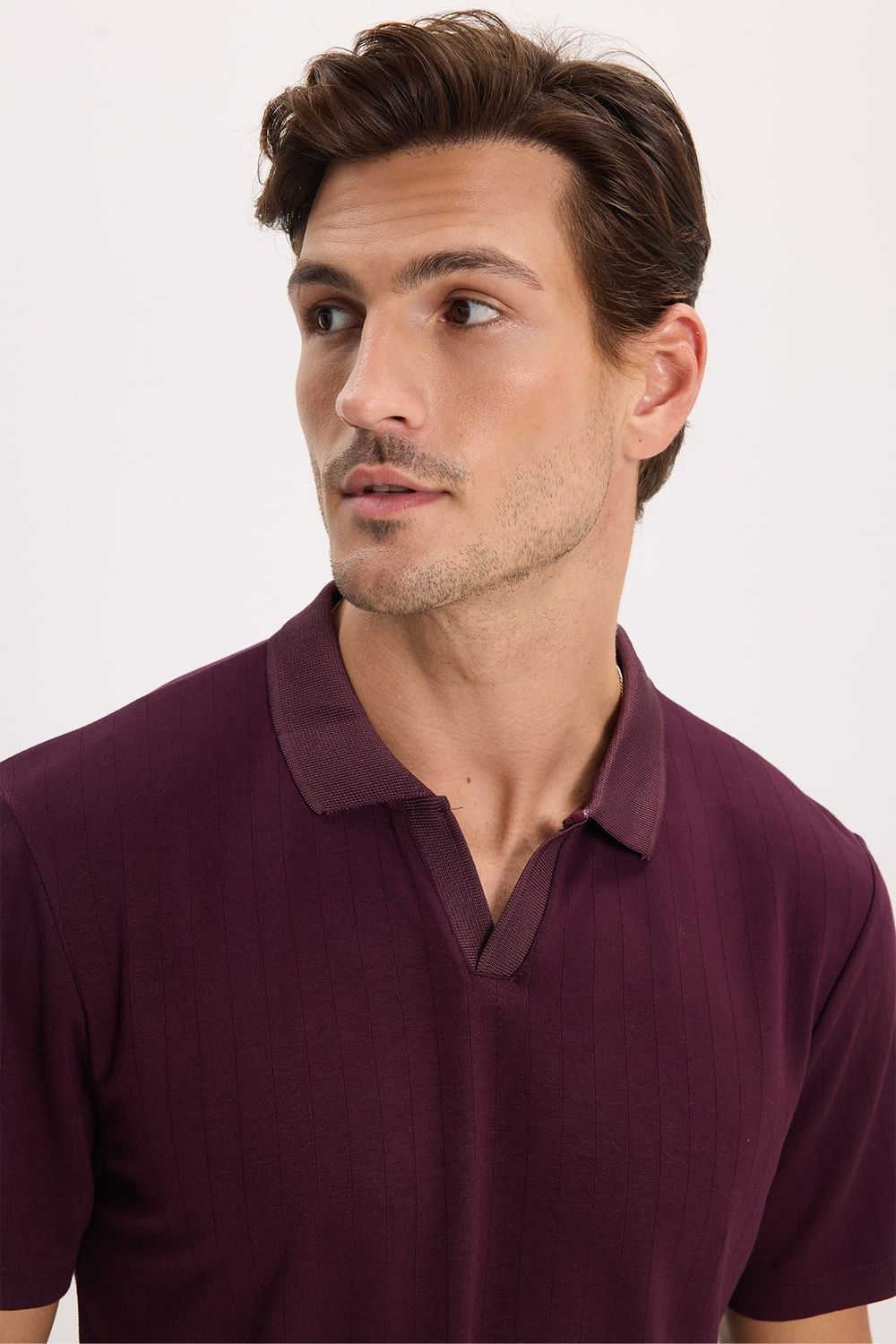 Erkek Slim Fit Dar Kesim Pamuklu Kısa Kollu Çizgili Bordo Polo V Yaka Tişört