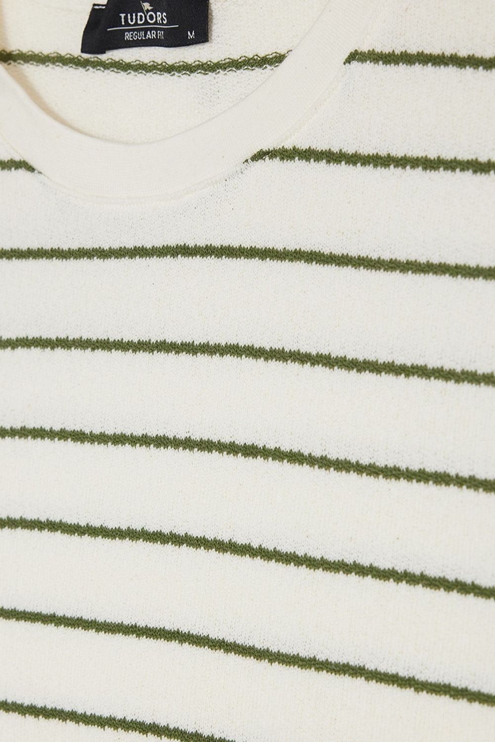 REGULAR FIT SHORT SLV STRIPE JACGUARD CREW NECK RODRI T-SHIRT