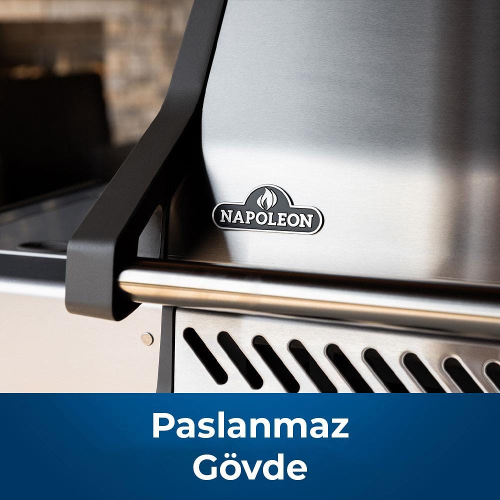 Napoleon Rogue SE 425 RSIB Gazlı Barbekü | Gazlı Mangal
