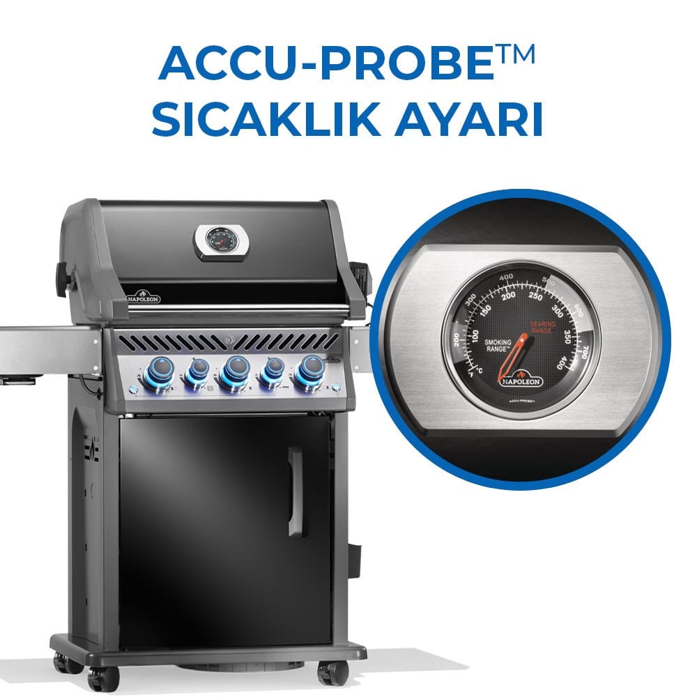 Rogue Pro S 425 RSIB Gazlı Mangal Siyah