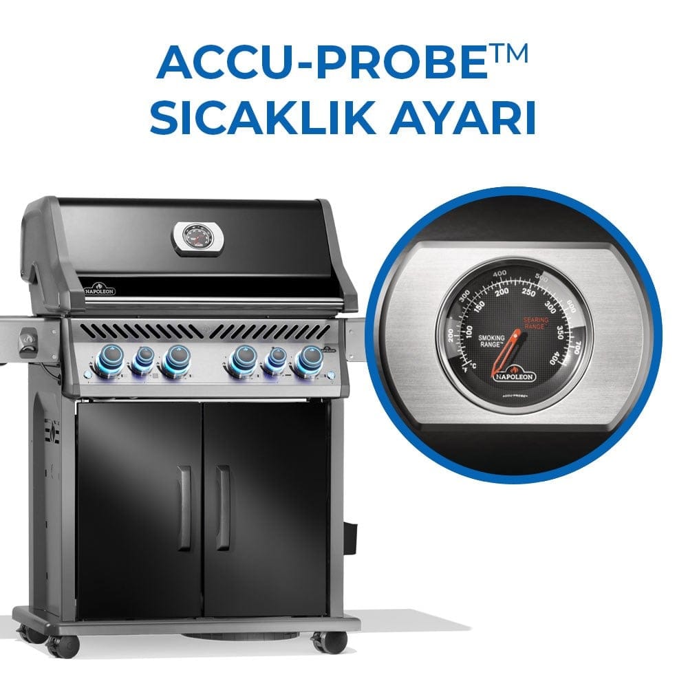 Rogue Pro S 525 RSIB Gazlı Mangal Siyah