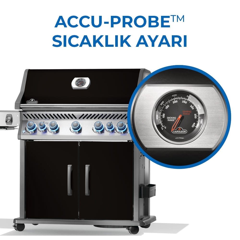 Rogue Pro S 625 RSIB Gazlı Mangal Siyah