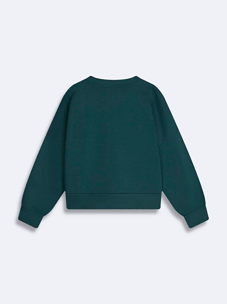 Ltb CAMESE Colorado Baskılı Sıfır Yaka Uzun Kollu Sweatshırt 11258107161071