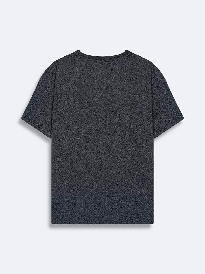 Ltb Jamabe Antrasit Erkek Sıfır Yaka Kısa Kol T-Shirt 1225841866089218