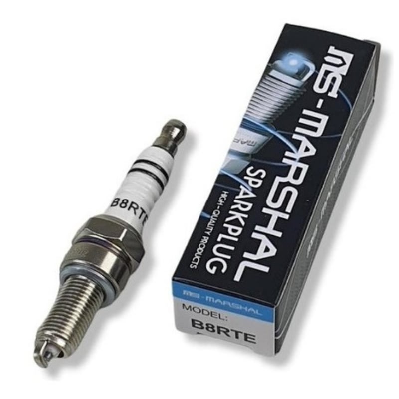 B8RTE Spark Plug