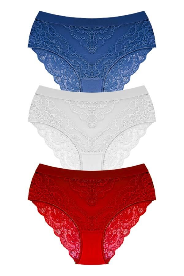 Dantelli Arkası Transparan Büyük Beden Bikini Külot 3lü Paket-2