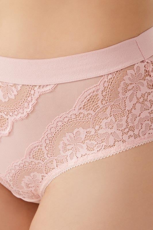Dantelli Arkası Transparan Büyük Beden Bikini Külot 3lü Paket