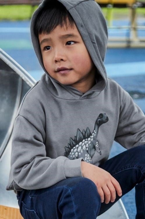 Mayoral Erkek Çocuk Hissedilebilir 3D Kabartma Dinozor Grafikli Kapüşonlu Sweatshirt - Gri